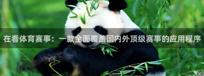 在看体育赛事：一款全面覆盖国内外顶级赛事的应用程序
