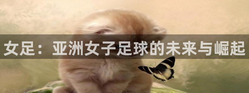 女足：亚洲女子足球的未来与崛起