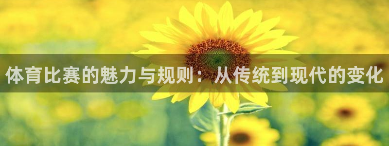 体育比赛的魅力与规则：从传统到现代的变化