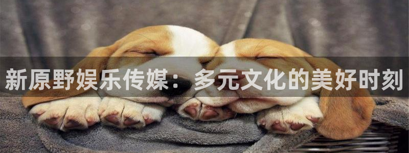新原野娱乐传媒：多元文化的美好时刻