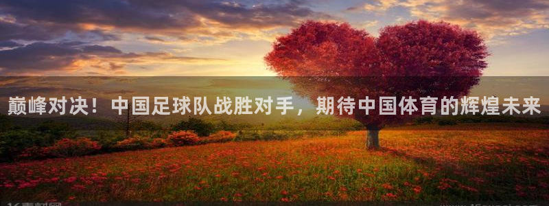巅峰对决！中国足球队战胜对手，期待中国体育的辉煌未来