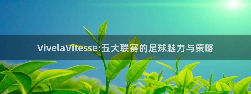 VivelaVitesse:五大联赛的足球魅力与策略