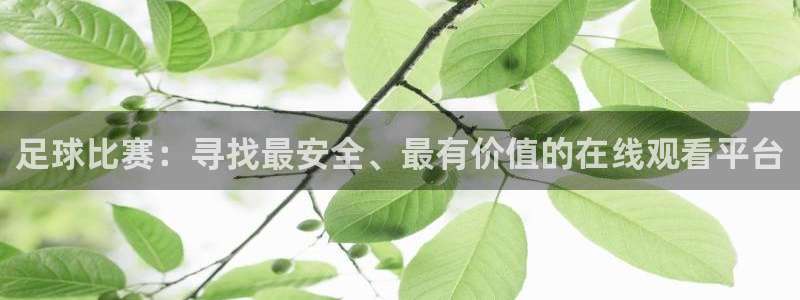 足球比赛：寻找最安全、最有价值的在线观看平台