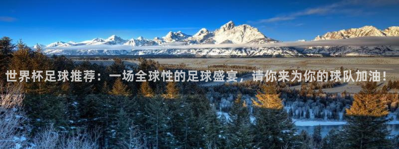世界杯足球推荐：一场全球性的足球盛宴，请你来为你的球队加油！