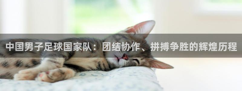 中国男子足球国家队：团结协作、拼搏争胜的辉煌历程