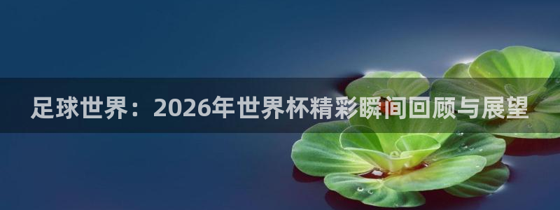足球世界：2026年世界杯精彩瞬间回顾与展望