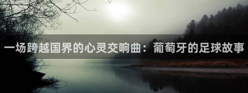 一场跨越国界的心灵交响曲：葡萄牙的足球故事