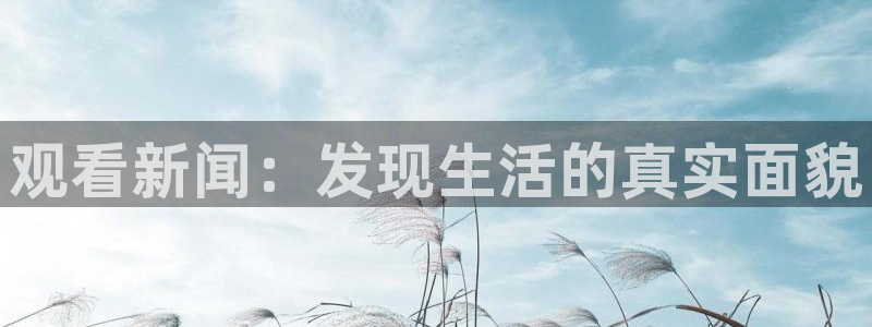 观看新闻：发现生活的真实面貌