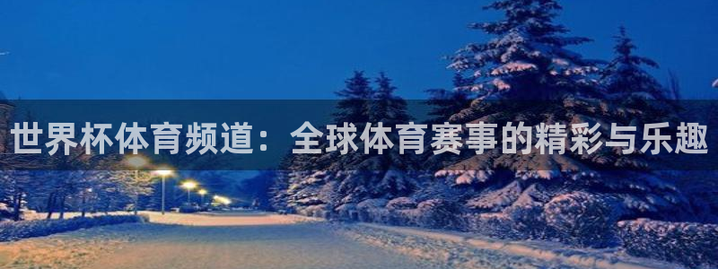 世界杯体育频道：全球体育赛事的精彩与乐趣
