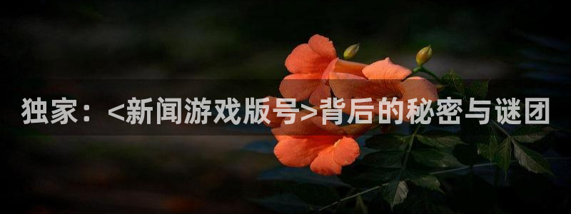 独家：<新闻游戏版号>背后的秘密与谜团
