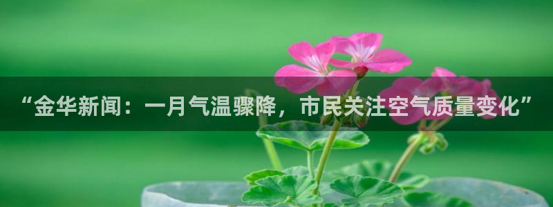“金华新闻：一月气温骤降，市民关注空气质量变化”