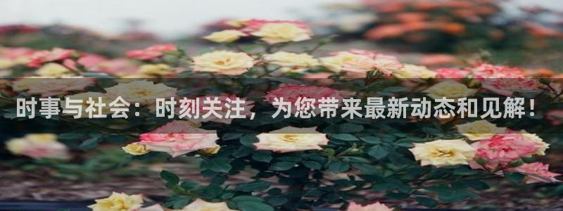 时事与社会：时刻关注，为您带来最新动态和见解！