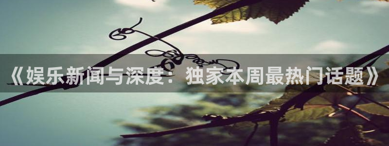 《娱乐新闻与深度：独家本周最热门话题》