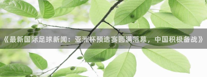 《最新国际足球新闻：亚洲杯预选赛圆满落幕，中国积极备战》