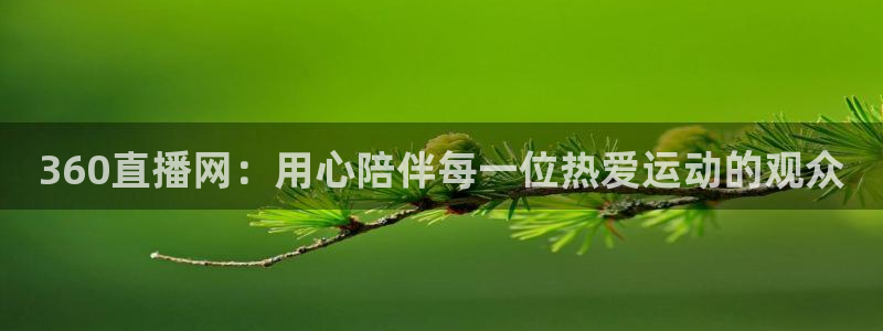 360直播网：用心陪伴每一位热爱运动的观众