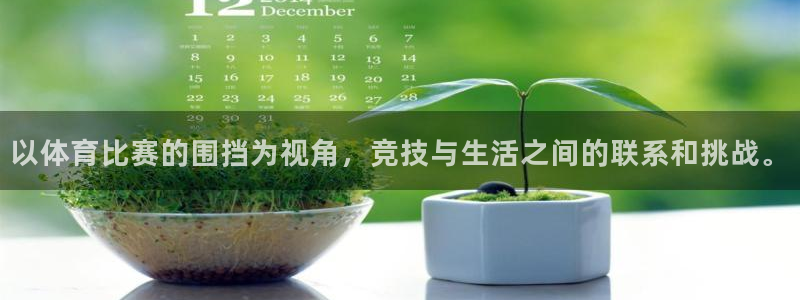 以体育比赛的围挡为视角，竞技与生活之间的联系和挑战。