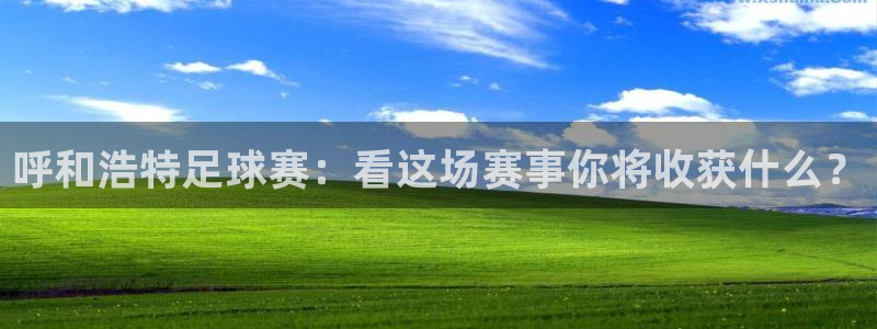 呼和浩特足球赛：看这场赛事你将收获什么？