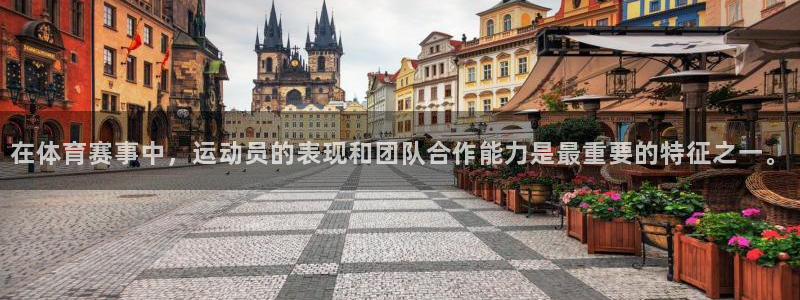 在体育赛事中，运动员的表现和团队合作能力是最重要的特征之一。