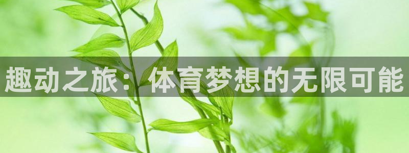 趣动之旅:体育梦想的无限可能