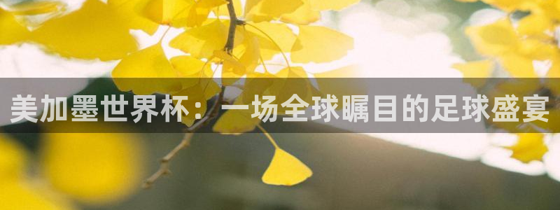 美加墨世界杯:一场全球瞩目的足球盛宴