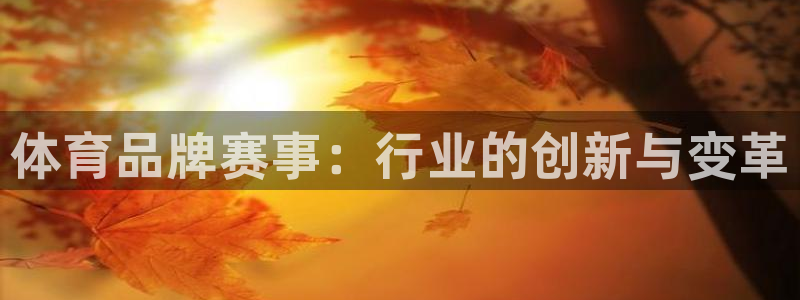 体育品牌赛事:行业的创新与变革