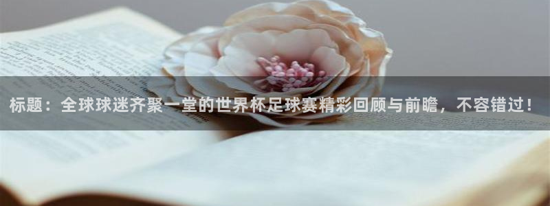 标题：全球球迷齐聚一堂的世界杯足球赛精彩回顾与前瞻，不容错过！