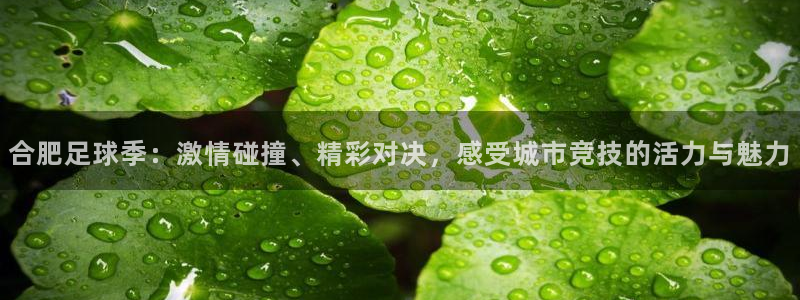 合肥足球季：激情碰撞、精彩对决，感受城市竞技的活力与魅力